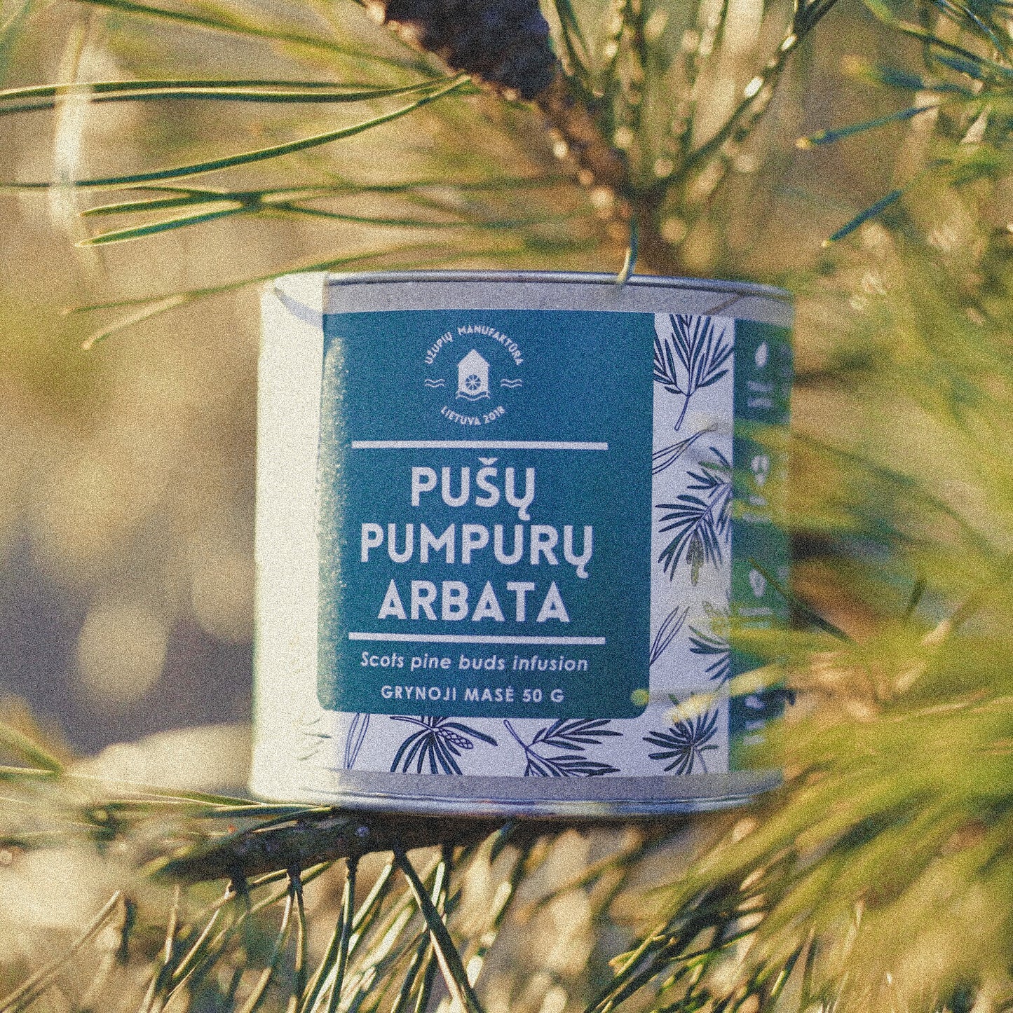 Pušų pumpurų arbata